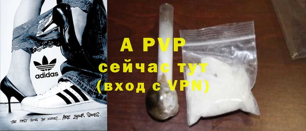 круглые Белокуриха