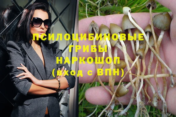 трава Богданович
