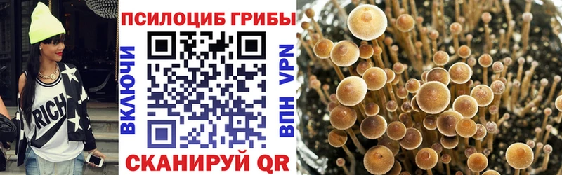 Псилоцибиновые грибы Psilocybe  Верхний Тагил 